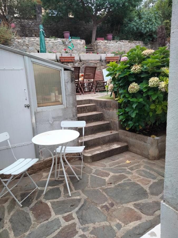 Beautiful Apartment With Garden Amélie-les-Bains-Palalda المظهر الخارجي الصورة
