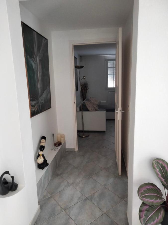 Beautiful Apartment With Garden Amélie-les-Bains-Palalda المظهر الخارجي الصورة